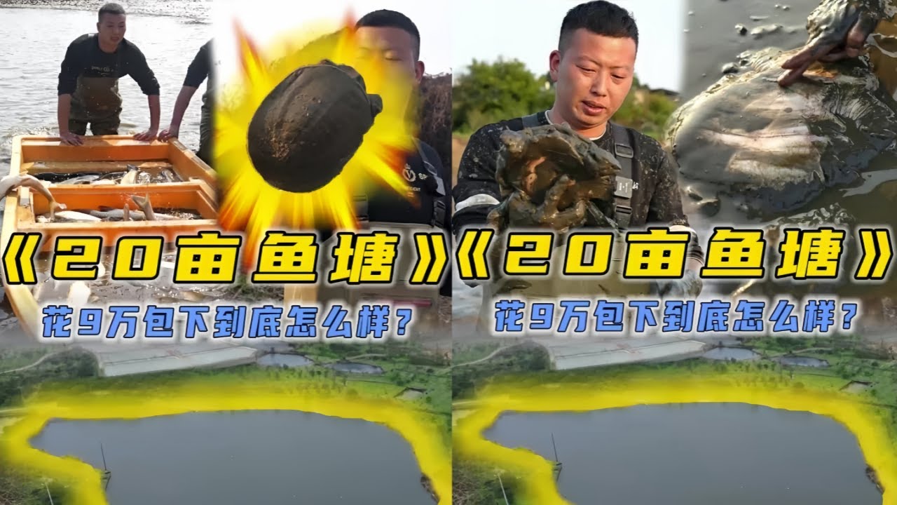 小飞哥花90000元包下20亩的大鱼塘，抽干水里面会有多少鱼？到底是赚还是亏？#户外抓鱼 #户外捕鱼 #小飞哥抓鱼 #乡村生活 #农村生活