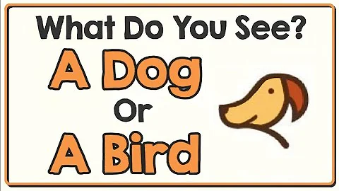 12 ILLUSIONS THAT WILL TEST YOUR BRAIN