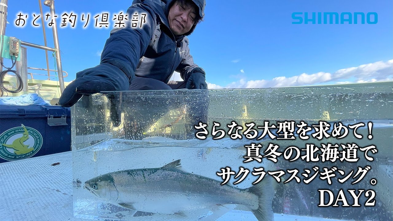 TACKLE HOUSE 　SHIMANO　サクラマスジギング SHIMANO】”Center Sardine サクラスペシャル“入荷！ - 道東の釣りなら