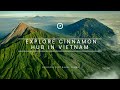 Cinnamon Hub in Vietnam.