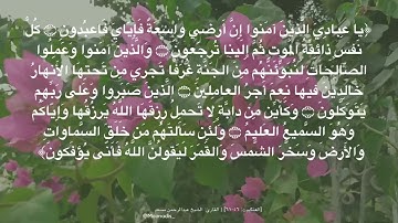 سورة العنكبوت: ٥٦ - ٦١ | القارئ: الشيخ عبدالرحمن مسعد🫀🌱