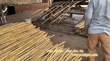 HƯỚNG DẪN CÁCH UỐN TRE TRÚC TPHCM