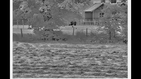 Rabbits MWIR InSb Thermal Imaging Camera