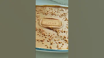حلا البايركس للمناسبات والعزايم والنوع حسب رغبتك ديسباسيتو خشخش لوتس شي ببيض الوجه Chocolate 