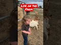 Cutest baby goat and granddaughter #babygoats #goatbaby #farmanimals #granddaughter #mcfallfarms