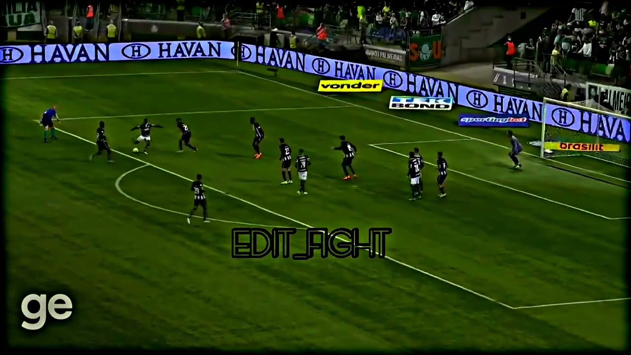 Gol do Wesley contra o Botafogo (edit)