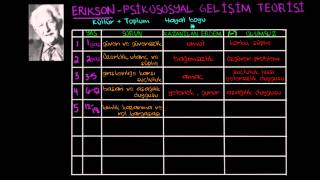Erikson'un Psikososyal Gelişim Teorileri (Sosyoloji / Bireyler ve Toplum)