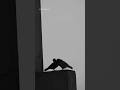 Sab Tera - Armaan Malik | Lyrics Video | Aesthetic Video | #shorts #lyrics