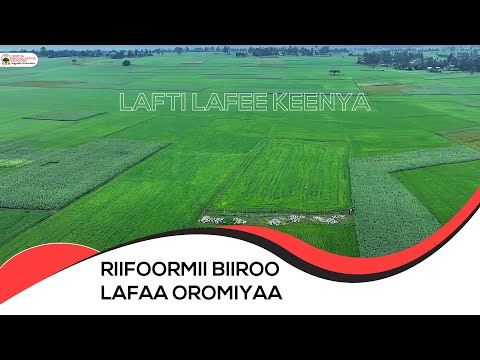 Lafti Lafee Keenya