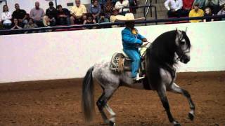 ialha national exhibitions 2010 - 10 Charro / Flamenco D