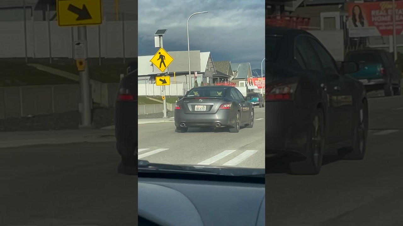 PIKACHU CAR ALMOST HIT US!!!😅