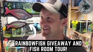 BLEHERI RAINBOWFISH GIVEAWAY AND FISH ROOM UPDATE / TOUR!