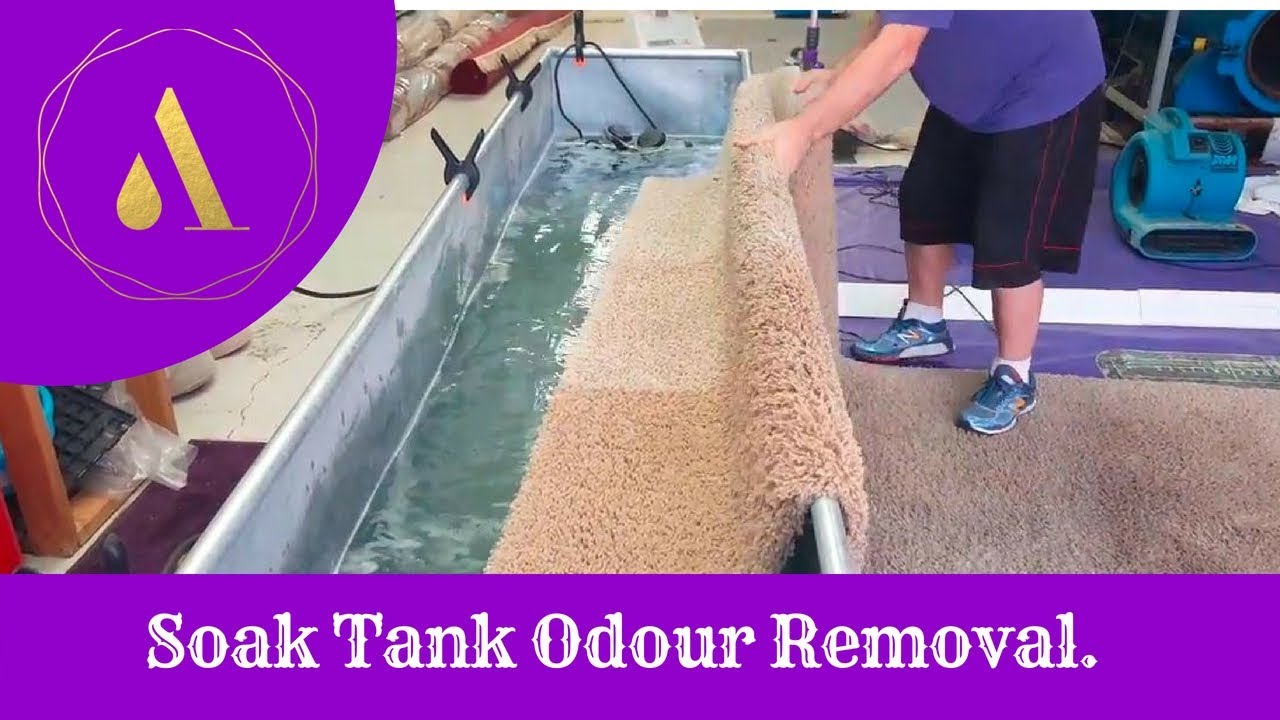 Rug Cleaning Cheshire, How we elimate pet smells from a rug.