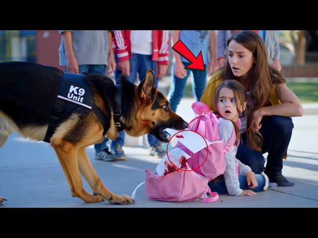 K9 Dog Uncovers a Child’s Hidden Cry for Help — What He Exposed Saved  Dozens of Lives