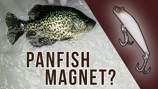 We Tested the Berkley Finisher for Panfish on Wind Lake -- See the Results! 🐟