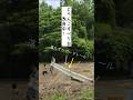 4才の息子と田んぼ遊び③落ちてたガードレールでどろんこすべり台を作りました🎵
