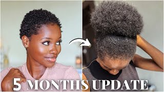 😱We have a PUFF in 5 MONTHS | 4C Natural Hair update since failed silk press, different curl pattern