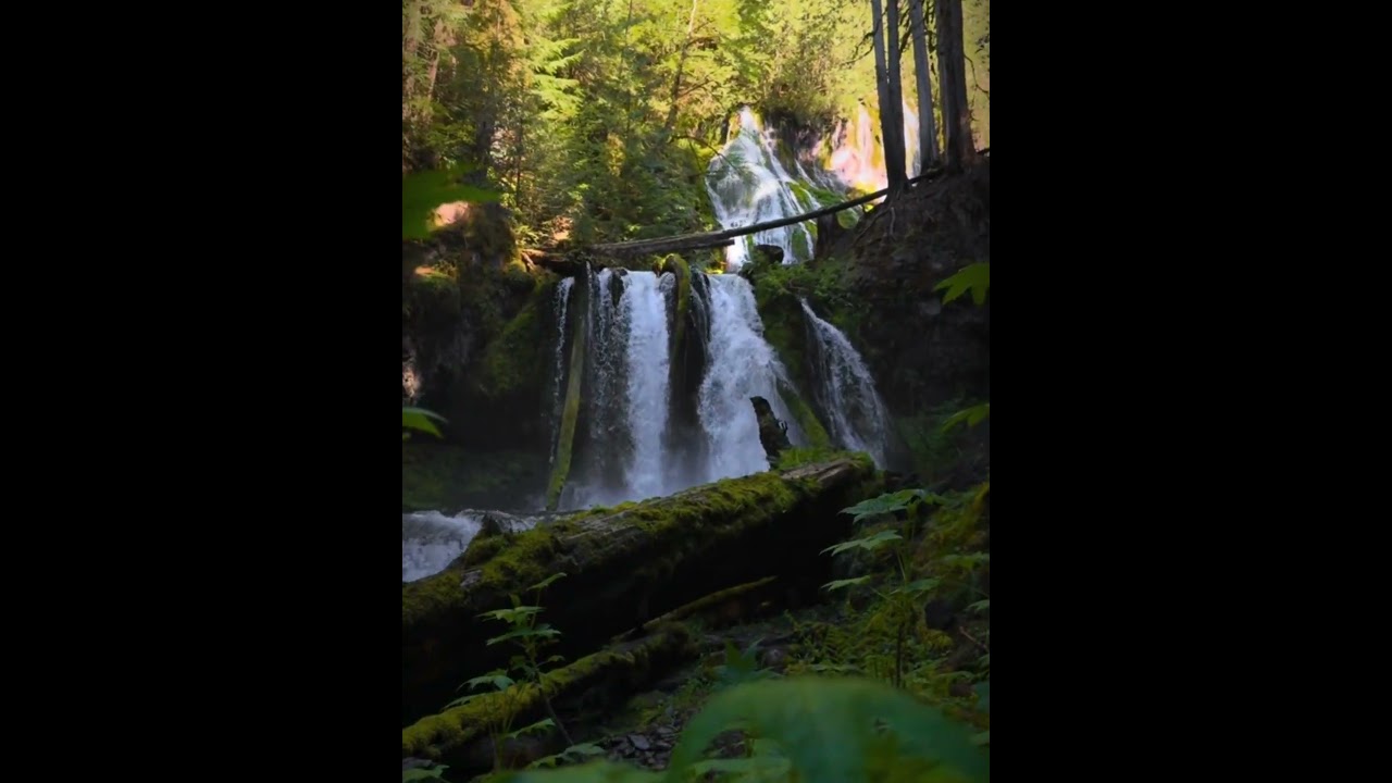 TRIẾT LÝ ÂM DƯƠNG