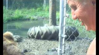 Tiger Ridge Video.avi