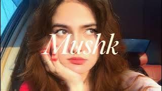 Ali Zafar - Mushk (OST) - Slowed Reverb Vibes | #Ost |  @Shady.Lo-fi