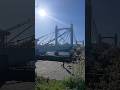 Albert Bridge London UK March 2026 #beautifulbritain #albert #london