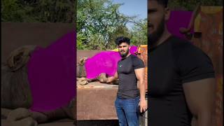 Pawan Sahu 😰 or Buffalo 🐃🥹#pawansahu #buffalo #news #minivlog #motivation