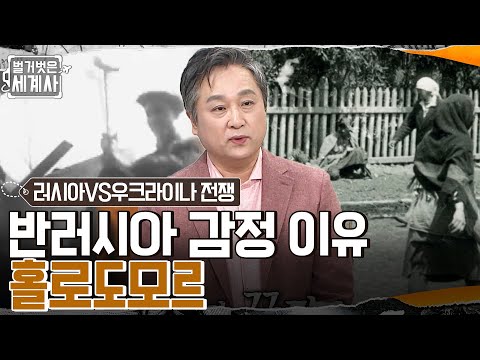 우크라이나의 반러시아 감정의 세력 네오나치 반러시아 감정이 존재하게 된 이유 홀로도모르 벌거벗은세계사 EP 44 TvN 220426 방송 