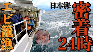 【実録】北海道でエビ籠漁船に密着したら想像以上だった｜日本海 増毛｜