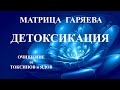 Матрица Гаряева🍀Квантовая Детоксикация Организма💠Matrix Garyaev🍀Quantum Detoxification of the Body