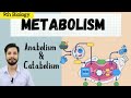 What is Metabolism | Metabolism & its types Anabolism & Catabolism | 9th bio @BioBrain_by_rafahkhan