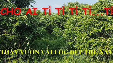 Kỹ thuật làm lộc Vải chuẩn nhất quả đất?!?