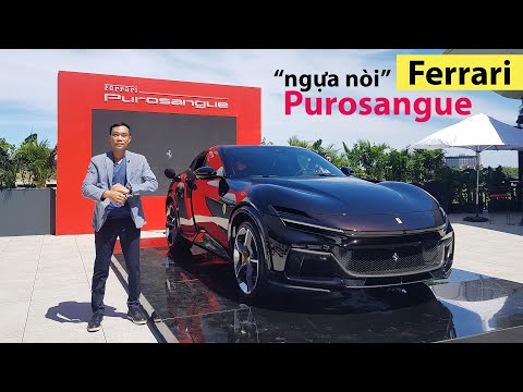 Video Xe Đời Sống dự ra mắt Ferrari Purosangue, cảm nhận... - youtube