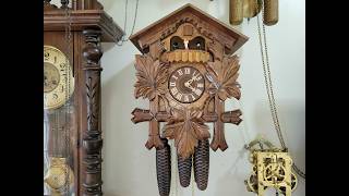 Service an 8 day Auto Night Shutoff Black Forest Cuckoo Clock