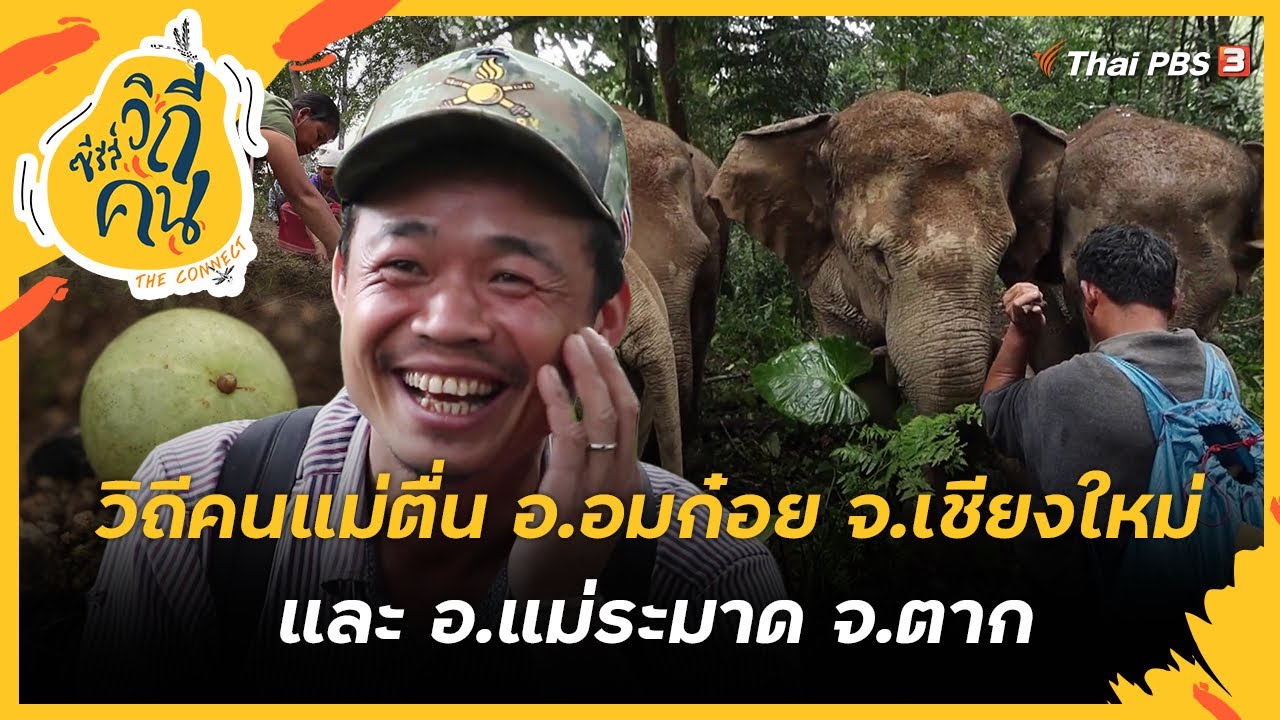 วิถีคนแม่ตื่น อ.อมก๋อย จ.เชียงใหม่ และ อ.แม่ระมาด จ.ตาก | ซีรีส์วิถีคน