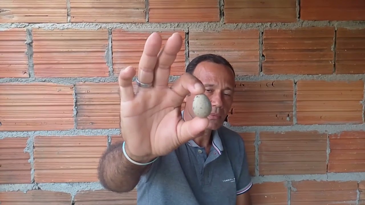 DIRETO PARA O BANHO DE AREIA VEJAM!