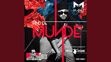 Pind De Munde (feat. Geeta Zaildar & Mitch Hyare)