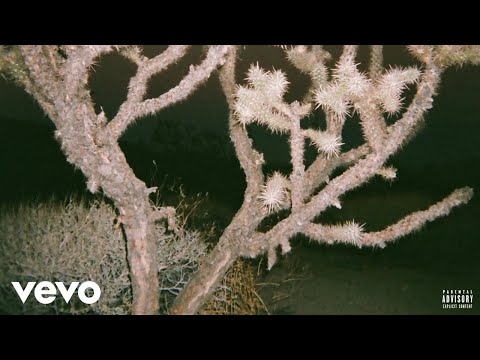 diveliner - girl from texas (Audio)