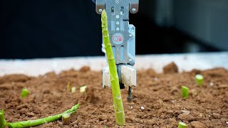 How Muddy Machines Developed Their Automation Technology With Defras Farming Innovation Programme.