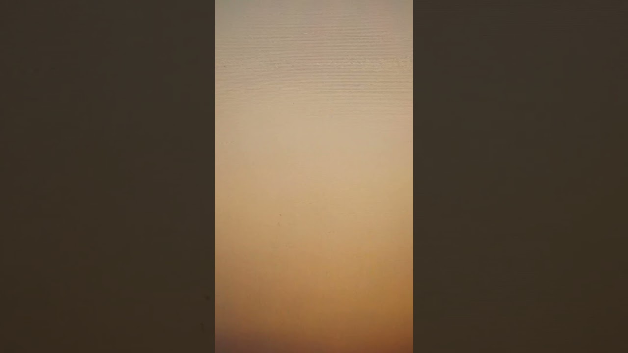 Bird sitting on her or his services and thinking