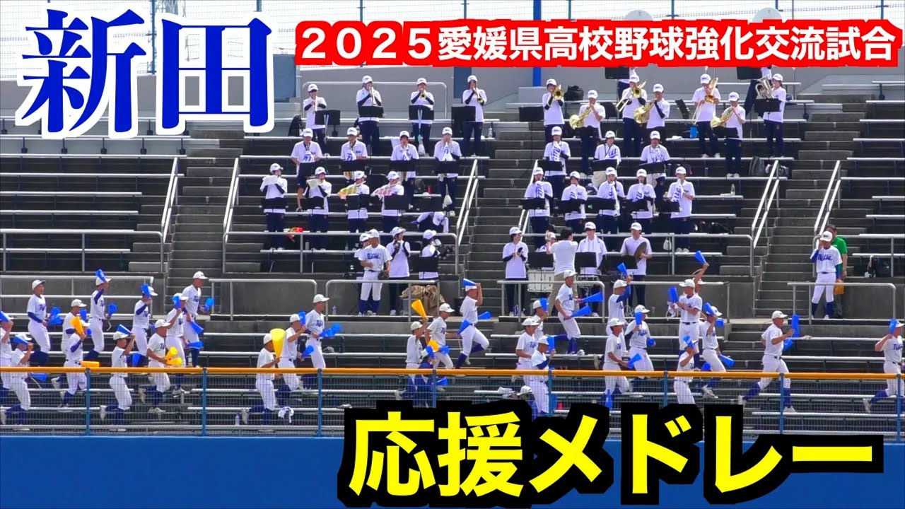 【愛媛にブラバンが復活】新田高校応援メドレー【２０２５／６／７＠坊ちゃんスタジアム】