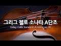 첼로연주 | 그리그 첼로 소나타 A단조 | Grieg-Cello Sonata in A minor op.36 | 첼로-폴 토르틀리에
