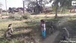 Tu Tha Mu Jauchi Rusi