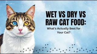 Wet vs Dry vs Raw Cat Food: What’s Actually Best for Your Cat?