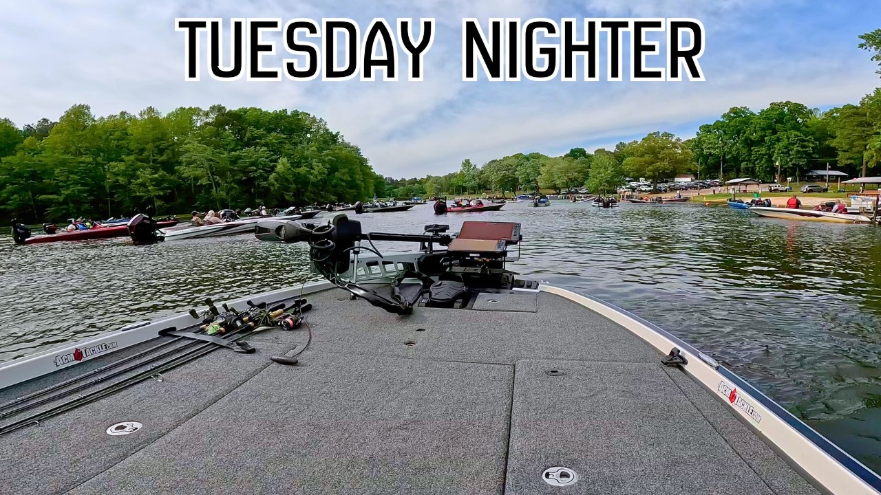 Tuesday Night Fishing Tournament (almost got the win) || Lake Chesdin Bass Fishing