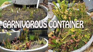 Evolution of my Carnivorous Bog Garden (Almost 2 years old)