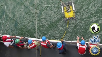 15 Second Science - Deep sea microbial chemistry