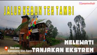 Seberapa Ekstrem Jalur Kebun Teh Tambi ? | Jalan Alternatif ke Dieng