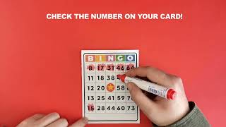 Bingo - Offline Board Game screenshot 4