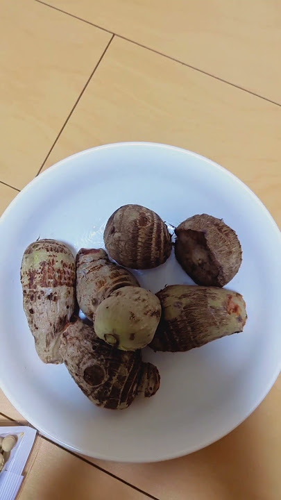 diindonesia dipandang sebelah mata, dijepang termasuk makanan mahal #jadoel #ndeso #tradisional