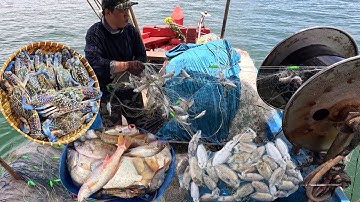 Kiếm TIỀN TRIỆU Với Nghề Lưới ĐẰM_Trúng Điểm Mực Nang, Cá Sóc, Cá Chéc, Ghẹ Xanh